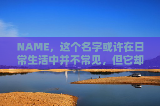 NAME，这个名字或许在日常生活中并不常见，但它却在某些领域里扮演着重要的角色。今天，让我们一起来探索这个名字背后的故事和意义